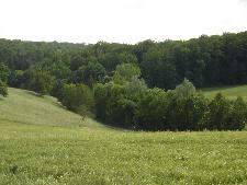 zwischen den T&auml;lern Kocher und Jagst