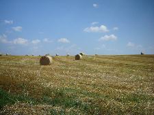 zwischen den T&auml;lern Kocher und Jagst